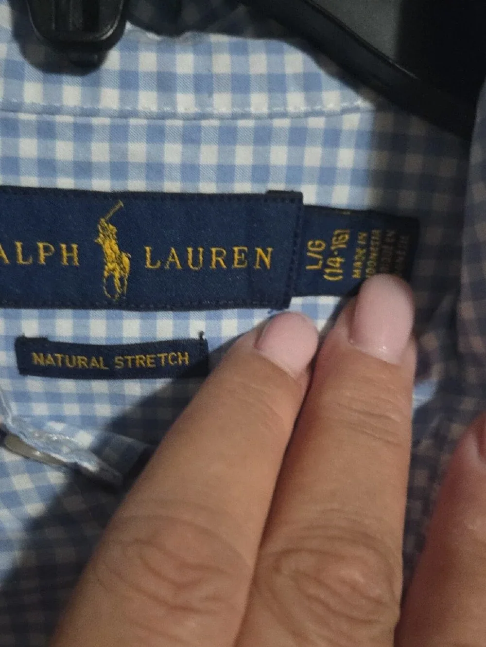 Ralph Lauren Blue and White Striped Button-Down Shirt